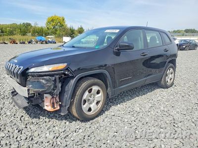 2017 JEEP CHEROKEE SPORT 1C4PJLAB8HW629009 - główne zdjęcie licytacji z USA - miniatura