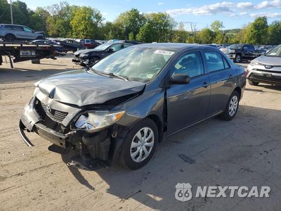 2010 TOYOTA COROLLA BASE 2T1BU4EE9AC356995 - główne zdjęcie licytacji z USA - miniatura