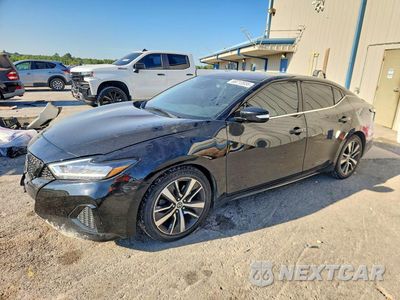 2020 NISSAN MAXIMA SV 1N4AA6CV1LC366747 - główne zdjęcie licytacji z USA - miniatura