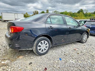 Trzecie zdjęcie samochodu z tyłu: 2010 TOYOTA COROLLA LE VIN:1NXBU4EE0AZ241779 - miniatura