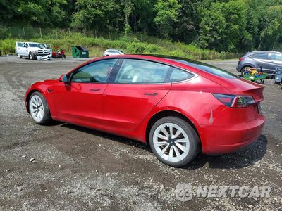Drugie zdjęcie samochodu z przodu: 2021 TESLA MODEL 3 VIN:5YJ3E1EB1MF015631 - miniatura