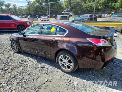 Drugie zdjęcie samochodu z przodu: 2009 ACURA TL VIN:19UUA865X9A016909 - miniatura