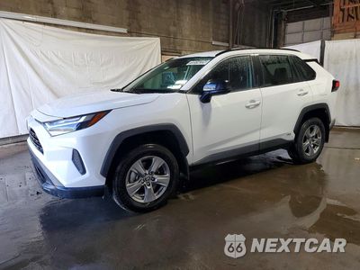 2024 TOYOTA RAV4 LE 4T3LWRFV8RU140180 - główne zdjęcie licytacji z USA - miniatura