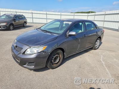 2009 TOYOTA COROLLA LE 2T1BU40E59C133520 - główne zdjęcie licytacji z USA - miniatura