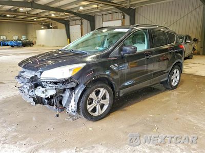 2014 FORD ESCAPE SE 1FMCU9G98EUD53222 - główne zdjęcie licytacji z USA - miniatura