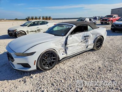 2024 FORD MUSTANG 1FAGP8UH3R5100284 - główne zdjęcie licytacji z USA - miniatura