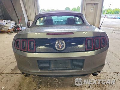 Zdjęcie 6 z 13 samochodu: 2013 FORD MUSTANG VIN:1ZVBP8EM9D5224436 - miniatura