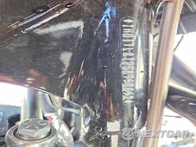 Zdjęcie 8 z 8 samochodu: 2025 HARLEY-DAVIDSON FLTRXSTSE VIN:1HD1TL812SB950652 - miniatura
