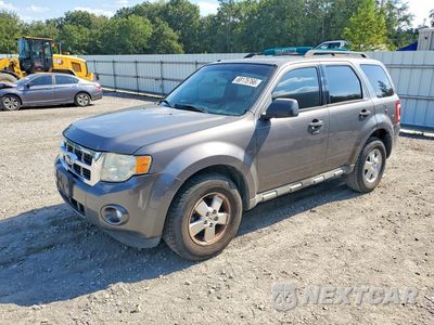 2010 FORD ESCAPE XLT 1FMCU0D7XAKB50322 - główne zdjęcie licytacji z USA - miniatura