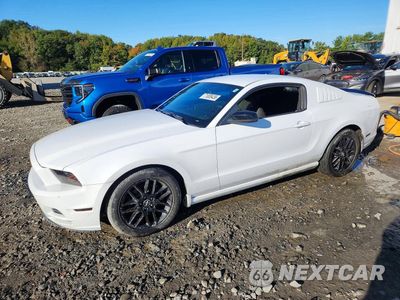 2014 FORD MUSTANG 1ZVBP8AM0E5282104 - główne zdjęcie licytacji z USA - miniatura