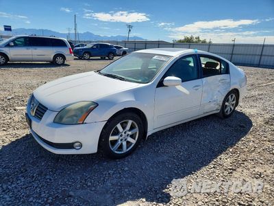 2005 NISSAN MAXIMA 3.5 SE 1N4BA41E45C821699 - główne zdjęcie licytacji z USA - miniatura