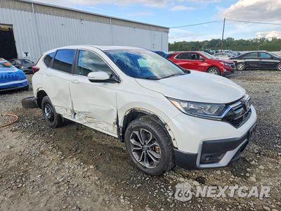 Czwarte zdjęcie samochodu z boku: 2020 HONDA CR-V EX VIN:7FARW2H52LE010900 - miniatura