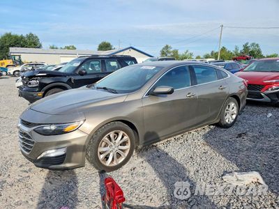 2020 CHEVROLET MALIBU LT 1G1ZD5ST7LF050243 - główne zdjęcie licytacji z USA - miniatura