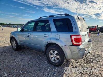 Drugie zdjęcie samochodu z przodu: 2009 FORD ESCAPE HYBRID VIN:1FMCU59339KC48333 - miniatura