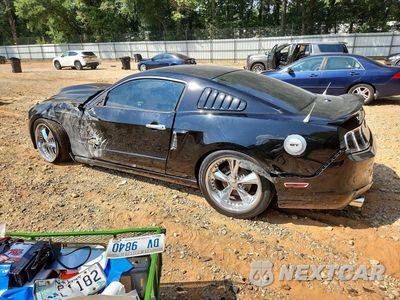 Drugie zdjęcie samochodu z przodu: 2013 FORD MUSTANG GT VIN:1ZVBP8CF4D5205541 - miniatura