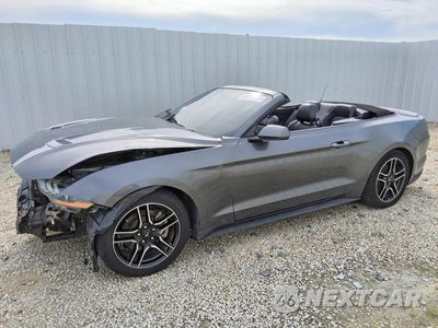 2021 FORD MUSTANG 1FATP8UH5M5122293 - główne zdjęcie licytacji z USA - miniatura