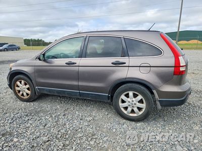 Drugie zdjęcie samochodu z przodu: 2009 HONDA CR-V EX VIN:3CZRE38529G702897 - miniatura