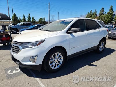 2019 CHEVROLET EQUINOX LS 3GNAXHEV6KS606327 - główne zdjęcie licytacji z USA - miniatura
