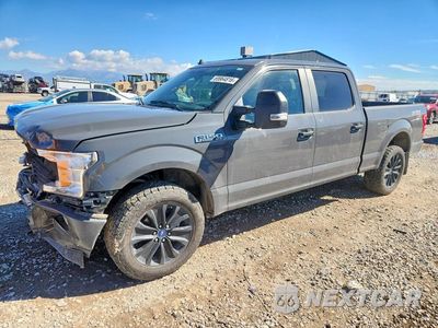 2020 FORD F150 SUPERCREW 1FTFW1E44LFA17198 - główne zdjęcie licytacji z USA - miniatura
