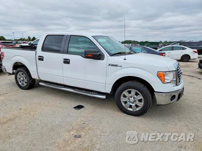 Czwarte zdjęcie samochodu z boku: 2010 FORD F150 SUPERCREW VIN:1FTFW1CV7AFD79051 - miniatura