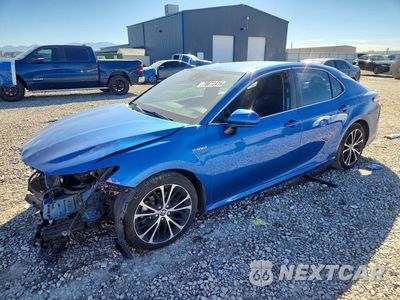 2020 TOYOTA CAMRY LE 4T1C31AK8LU010617 - główne zdjęcie licytacji z USA - miniatura