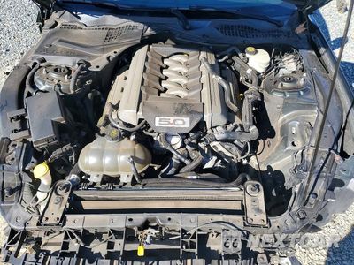 Zdjęcie 11 z 12 samochodu: 2016 FORD MUSTANG GT VIN:1FA6P8CF6G5251001 - miniatura