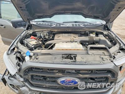 Zdjęcie 11 z 12 samochodu: 2023 FORD F150 SUPERCREW VIN:1FTFW1E89PKF94986 - miniatura