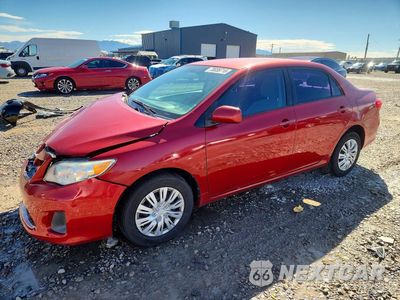 2011 TOYOTA COROLLA LE 2T1BU4EE8BC585203 - główne zdjęcie licytacji z USA - miniatura