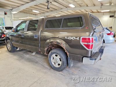 Drugie zdjęcie samochodu z przodu: 2009 FORD F150 SUPERCREW VIN:1FTPW14V09FA55583 - miniatura
