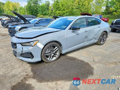 2024 ACURA TLX A-SPEC 19UUB6F58RA001522 - główne zdjęcie licytacji z USA - miniatura