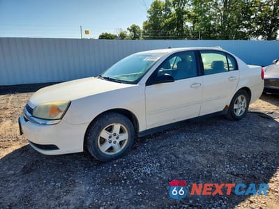 2004 CHEVROLET MALIBU LS 1G1ZT54874F167639 - główne zdjęcie licytacji z USA - miniatura