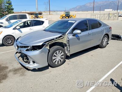 2019 TOYOTA CAMRY LE 4T1B31HK8KU516836 - główne zdjęcie licytacji z USA - miniatura