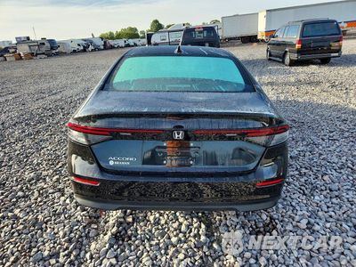 Zdjęcie 6 z 12 samochodu: 2025 HONDA ACCORD LX VIN:1HGCY1F27SA078651 - miniatura