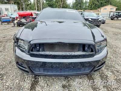 Piąte zdjęcie samochodu w środku: 2014 FORD MUSTANG VIN:1ZVBP8AM5E5210413 - miniatura