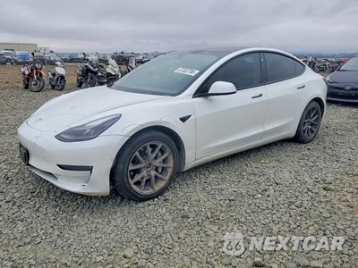 2021 TESLA MODEL 3 5YJ3E1EB4MF928304 - główne zdjęcie licytacji z USA - miniatura
