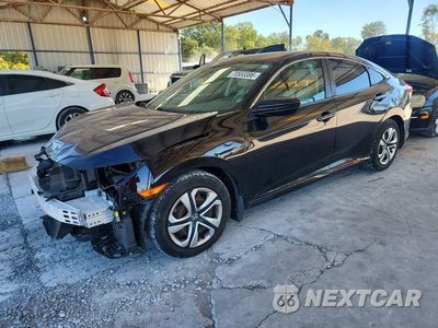 2016 HONDA CIVIC LX 2HGFC2F5XGH504403 - główne zdjęcie licytacji z USA - miniatura