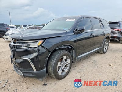 2023 HONDA PILOT EXL 5FNYG2H56PB000588 - główne zdjęcie licytacji z USA - miniatura