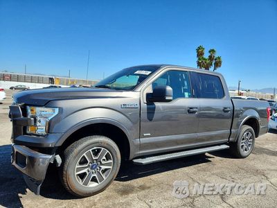 2017 FORD F150 SUPERCREW 1FTEW1CP7HKD42791 - główne zdjęcie licytacji z USA - miniatura