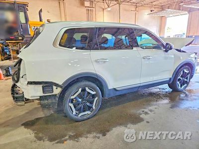 Trzecie zdjęcie samochodu z tyłu: 2025 KIA TELLURIDE S VIN:5XYP6DGCXSG695413 - miniatura