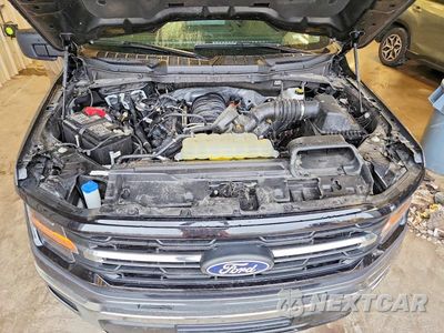 Zdjęcie 11 z 12 samochodu: 2025 FORD F150 XLT VIN:1FTEW3K54SKE62602 - miniatura