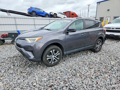 2016 TOYOTA RAV4 LE 2T3BFREVXGW508532 - główne zdjęcie licytacji z USA - miniatura