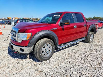2013 FORD F150 SUPERCREW 1FTFW1EF7DFB00305 - główne zdjęcie licytacji z USA - miniatura