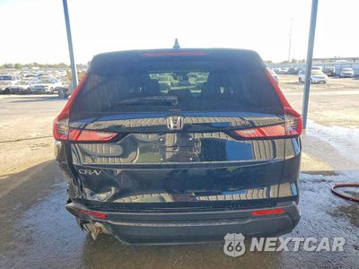 Zdjęcie 6 z 12 samochodu: 2026 HONDA CR-V LX VIN:2HKRS4H28TH489799 - miniatura