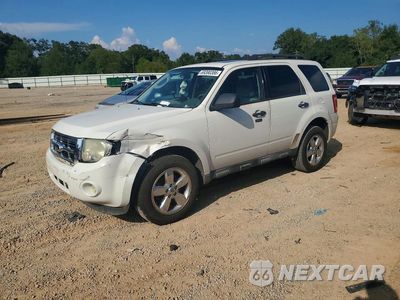 2011 FORD ESCAPE XLT 1FMCU0D76BKA04016 - główne zdjęcie licytacji z USA - miniatura