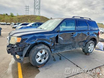 2010 FORD ESCAPE XLT 1FMCU0D75AKB51183 - główne zdjęcie licytacji z USA - miniatura
