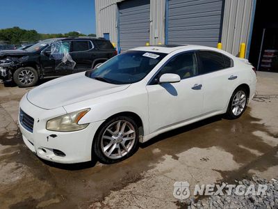 2009 NISSAN MAXIMA 3.5 S 1N4AA51E69C847082 - główne zdjęcie licytacji z USA - miniatura