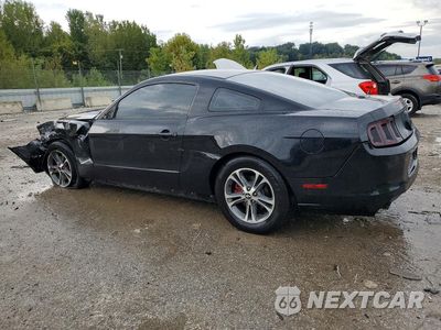 Drugie zdjęcie samochodu z przodu: 2014 FORD MUSTANG VIN:1ZVBP8AM1E5278840 - miniatura