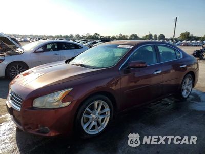 2011 NISSAN MAXIMA 3.5 S 1N4AA5AP1BC801683 - główne zdjęcie licytacji z USA - miniatura