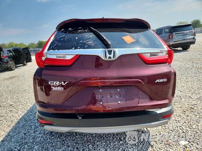 Zdjęcie 6 z 12 samochodu: 2019 HONDA CR-V EXL VIN:7FARW2H84KE015038 - miniatura