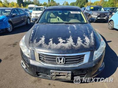 Piąte zdjęcie samochodu w środku: 2008 HONDA ACCORD EXL VIN:1HGCP26828A097999 - miniatura